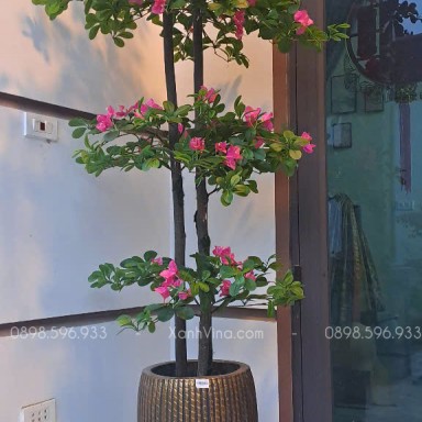 Cây hoa đỗ quyên giả trang trí